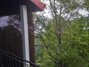 balcone con vista su un albero. di Villa 95 Rangala a Kandy