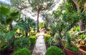 einen Garten mit Palmen und einem Gehweg in der Unterkunft Lovely Home In Alessano With Wifi in Alessano