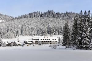 Hotel Teichwirt v zimě