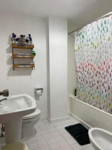 a bathroom with a toilet and a shower curtain at Piso Turístico Huétor Vega (Granada) in Huétor Vega