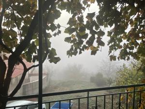 a view of a foggy yard with a fence at KESEMI in Kalavrita