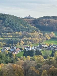 a village in the hills with trees and houses at Gästehaus Ute Müller in Wimbach