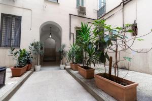 un pasillo con macetas en el lateral de un edificio en Trastevere four seasons Manara, en Roma