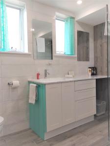 a bathroom with a sink and a mirror at Palm Beach Guest House in Rockingham