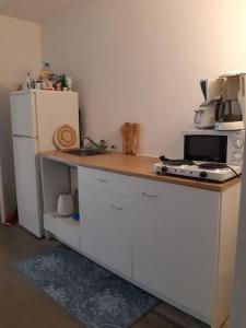 una cucina con bancone, forno a microonde e frigorifero di Casa Nova Scheveningen a Scheveningen
