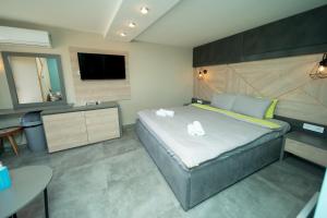 1 dormitorio con 1 cama grande y TV en Darija Apartments - City Square, en Ohrid