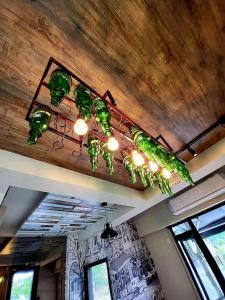 un lampadario a braccio con piante verdi appese a un soffitto di Tipsy Snail a Sanxing Altre 23 foto