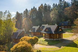 an aerial view of a house in a forest at Domki Bystre in Baligród