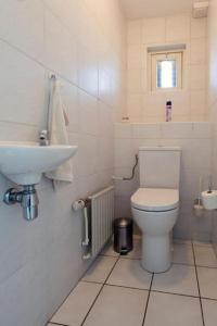 een badkamer met een wit toilet en een wastafel bij Appartement Hoek in Giethoorn