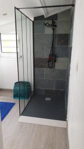 a shower with a glass door in a room at Appart Cocotiers in La Saline les Bains