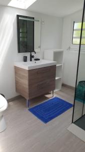 a bathroom with a sink and a mirror at Appart Cocotiers in La Saline les Bains