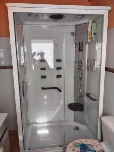 a shower with a glass door in a bathroom at Casa Antonio in Susañe del Sil