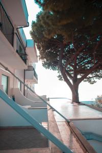 a tree on the side of a building with a sidewalk at Hotel Ligure in Spotorno