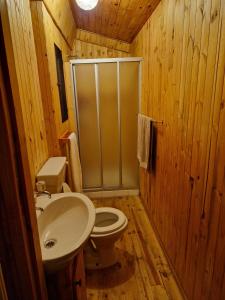 uma casa de banho com um lavatório, um WC e um chuveiro em Carpe Diem em Marloth Park