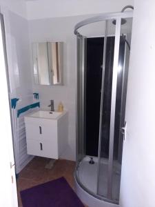 a bathroom with a shower and a sink at maison de campagne au calme in Chuelles