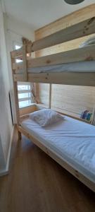 Двухъярусная кровать или двухъярусные кровати в номере Spacieux appartement T2 & cabine