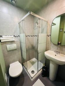 La salle de bains est pourvue d'une douche, de toilettes et d'un lavabo. dans l'établissement Hotel de Berne, à Nice