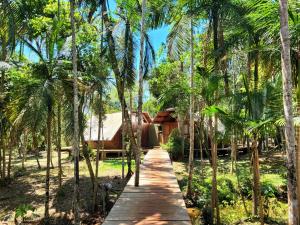a wooden pathway through a forest of palm trees at Surucua Reserva & Ecolodge in Comandante Andresito