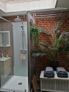 La LAITERIE Ecaussinnes في Les Croisettes: حمام مع دش زجاجي مع نبات