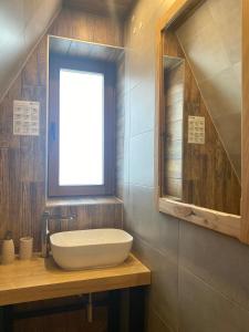 ein Bad mit einem Waschbecken und einem Fenster in der Unterkunft Dom Wypoczynkowy Julia in Białka Tatrzańska