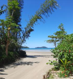 烏巴圖巴的住宿－Recanto do Estaleiro，一片树木繁茂的海滩,一片大海