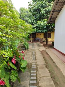 um jardim com rosas e uma casa em Ancient Tree em Mirissa