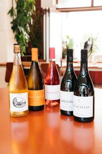 Afbeelding uit fotogalerij van Hôtel Voltaire in Arles