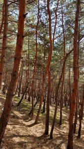 Paesaggio naturale nelle vicinanze dell'hotel