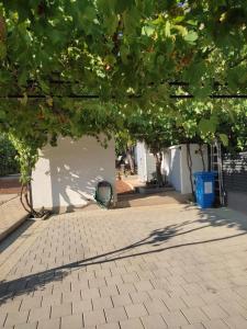 Vonkajšia záhrada v ubytovaní Grebastica beachfront apartment