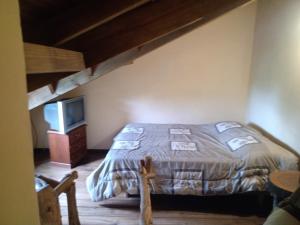 1 dormitorio con 1 cama y TV. en Posada A Viagem en Tandil