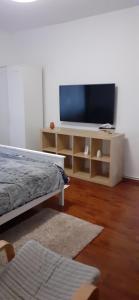 uma sala de estar com uma televisão de ecrã plano num suporte em Apartament 2 cam Predeal em Predeal