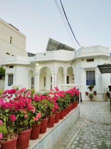 a row of flower pots in front of a house at Homestay at Bungalow 97 Ajmer in Ajmer