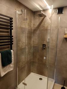 eine Dusche mit Glastür im Bad in der Unterkunft Magiczny Dom w Brennej in Brenna