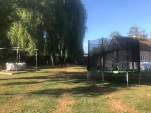 un grand jardin avec un panier de basket dans l'herbe dans l'établissement Belle longère - proche circuit 24h, à Roézé-sur-Sarthe