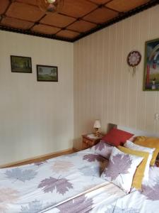 1 dormitorio con 1 cama en una habitación en Apartament nad szumiącym potokiem en Wilkowice