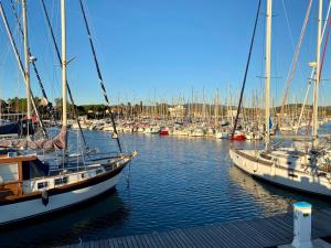 two boats are docked in a marina with other boats at Les locations Cinaureva "Les Îles d'Or" in La Londe-les-Maures