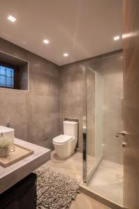 a bathroom with a toilet and a glass shower at Villa MYLOS Kalavrita in Kalavrita