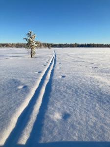a tree in the middle of a snow covered field at Kuttainen Lodge in Karesuando