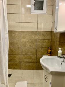 y baño con lavabo y ducha. en Star apartment, en Belgrado