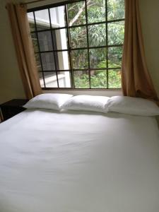 a bed with white pillows in front of a window at Apart Hotel Acuarious de Luis in Estel&iacute;
