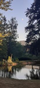 Příroda nedaleko bed and breakfast