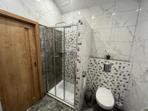 a bathroom with a shower and a toilet at Apartmán U Póla in Zdíkov