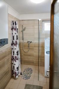 een douche met een douchegordijn in de badkamer bij Kölcsey Vendégház in Hódmezővásárhely