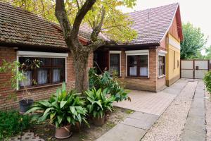 una casa con un árbol y plantas delante de ella en Kölcsey Vendégház en Hódmezővásárhely