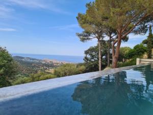 Příroda nedaleko vily