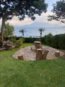 um jardim com uma estátua de árvores e o oceano em Lake Front house, cozy and comfortable. em Santa Cruz La Laguna