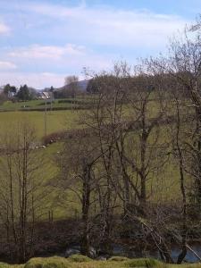 布雷肯的住宿－Wern Ddu, Defynnog - Brecon Beacons，河旁田野上的一群树木