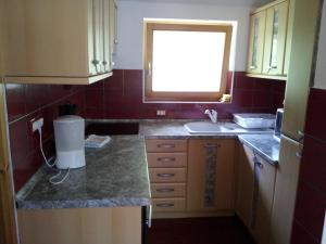 Kuchyň nebo kuchyňský kout v ubytování Apartment Lake Bohinj no. 5 + 25 fotografií