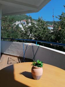 una pianta in vaso seduta su un tavolo sul balcone di Apartmani Pasara a Baošići