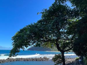 un albero su una spiaggia con l'oceano di Le Liseron Créole - Entre Terre, Mer et Rivière - proche toutes commodités a Saint-Joseph